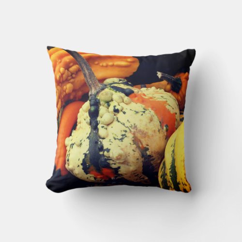 Colorful Decorative Gourds Close Up Fall   Throw Pillow