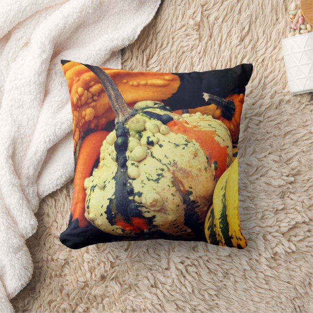 Colorful Decorative Gourds Fall   Throw Pillow (Blanket)
