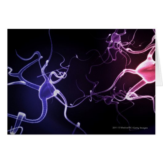 Colorful depiction of neurons (Front Horizontal)