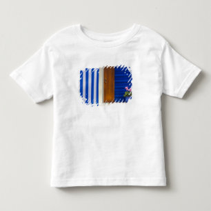 Colorful design contrast on residence toddler t-shirt