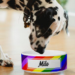 Colorful Diagonal Rainbow Pet Bowl<br><div class="desc">Colorful diagonal rainbow pet bowl for dogs and cats. Great gift for pride month or pet owners who are lgbtq members or supporters.</div>