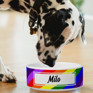 Pet Expressions Personalized Small Dog Bowl