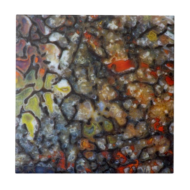 Colorful Dinosaur Bone Ceramic Tile (Front)