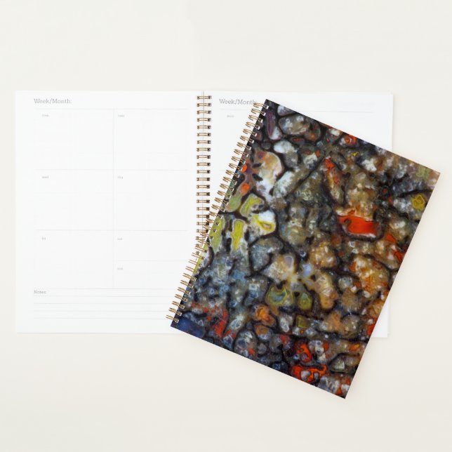 Colorful Dinosaur Bone Planner (Display)