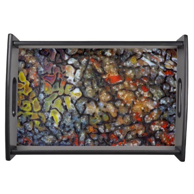 Colorful Dinosaur Bone Serving Tray (Front)
