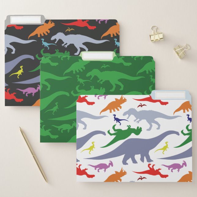 Colorful Dinosaur Pattern File Folder (Set)