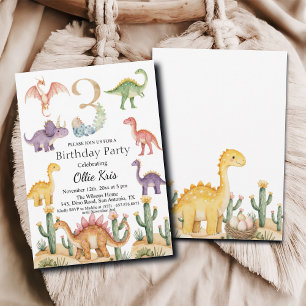 Colorful Dinosaurs 3rd Birthday Party Invitation