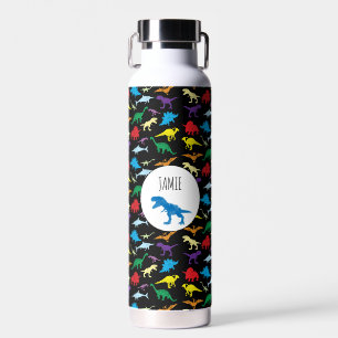 Colorful Dinosaurs Kids Pattern Water Bottle