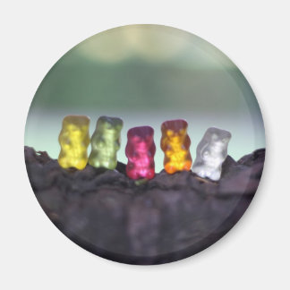 Colorful Diversity Gummy Bears Photography Magnet