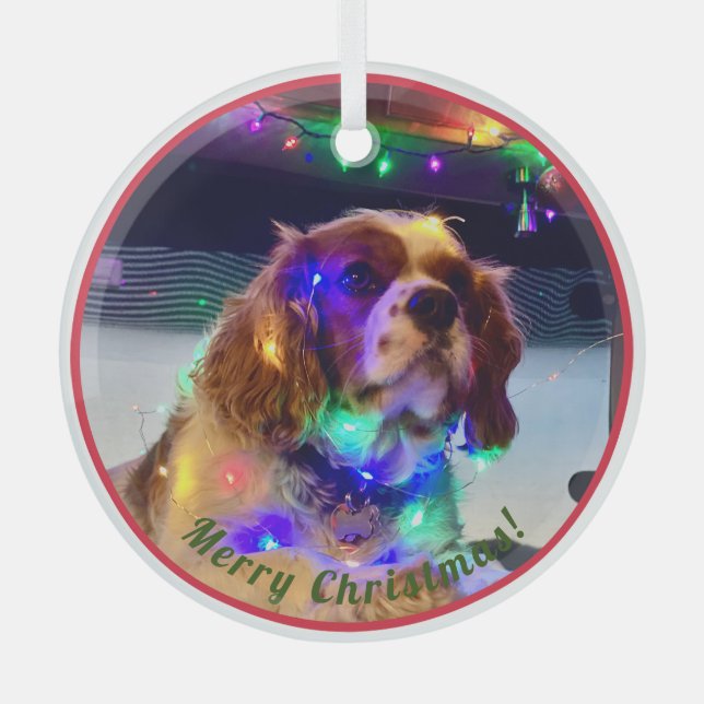 Colorful Dog Christmas Ornament (Front)