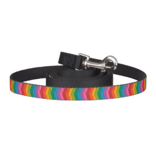 Colorful Dog Leash