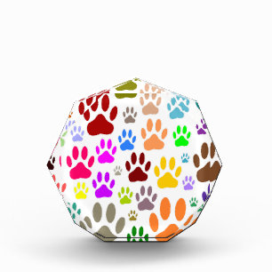 Colorful Dog Paw Prints All Over Award