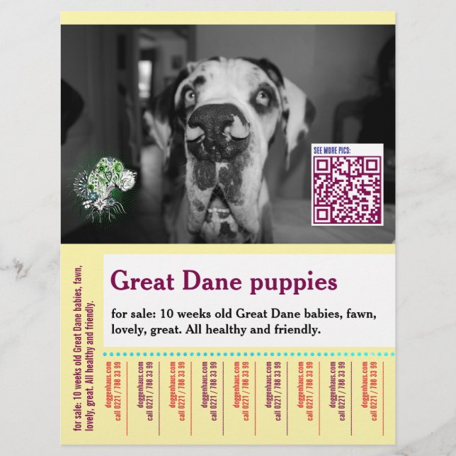 Colorful dog themed template for  flyer (Front)