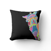 Colorful Donkey