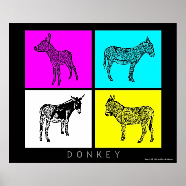 Colorful Donkeys Poster (Front)