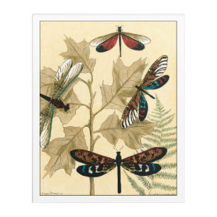 Colorful Dragonflies Floating Above Leaves Acrylic Print