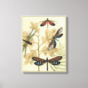 Colorful Dragonflies Floating Above Leaves Canvas Print