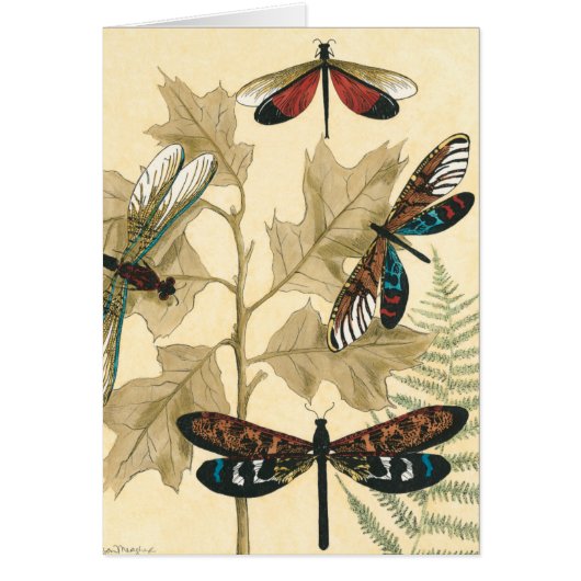 Colorful Dragonflies Floating Above Leaves Cards (Front)