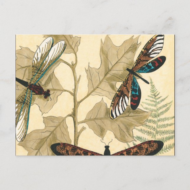 Colorful Dragonflies Floating Above Leaves Postcard (Front)