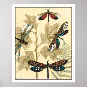Colorful Dragonflies Floating Above Leaves Poster