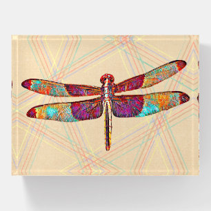 Colorful Dragonfly Art Paperweight