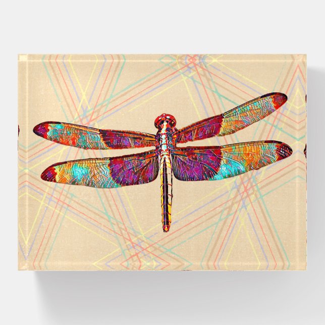 Colorful Dragonfly Art Paperweight (Front)
