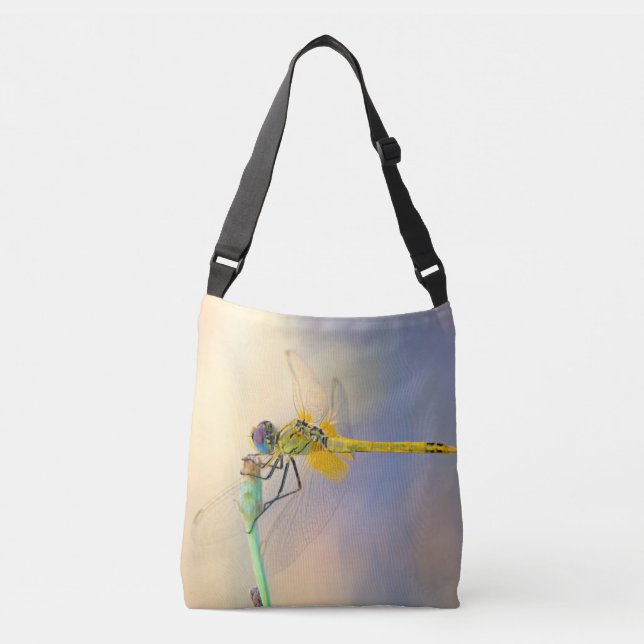 Colorful dragonfly crossbody bag (Front)