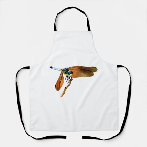 Colorful dragonfly on a branch apron
