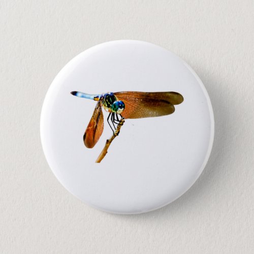 Colorful dragonfly on a branch button