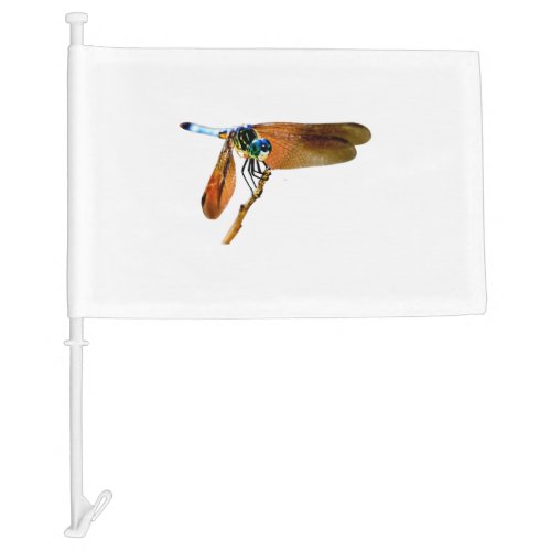 Colorful dragonfly on a branch car flag