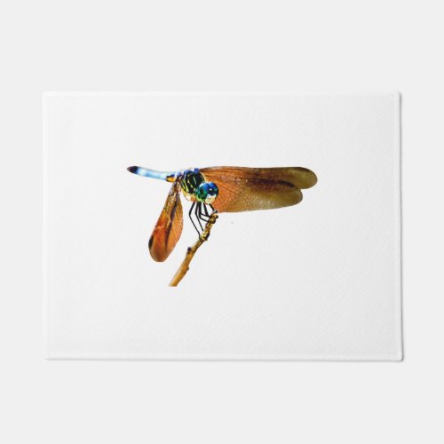 Colorful dragonfly on a branch doormat