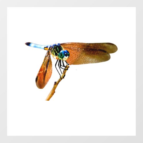Colorful dragonfly on a branch floor decals