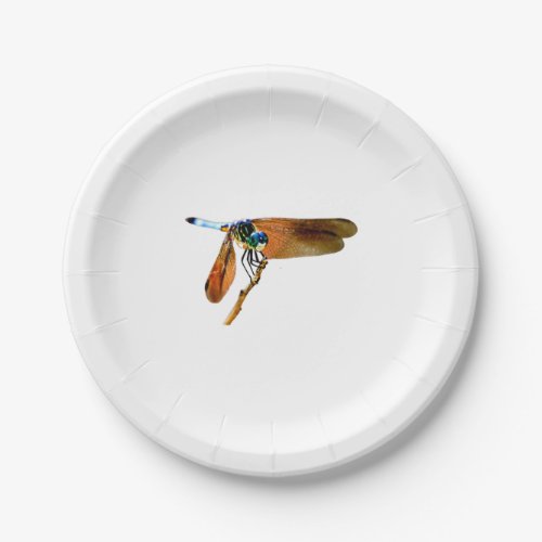 Colorful dragonfly on a branch paper plates
