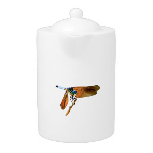 Colorful dragonfly on a branch teapot