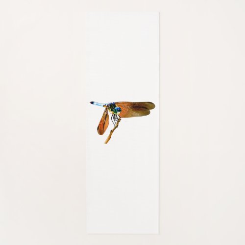 Colorful dragonfly on a branch yoga mat