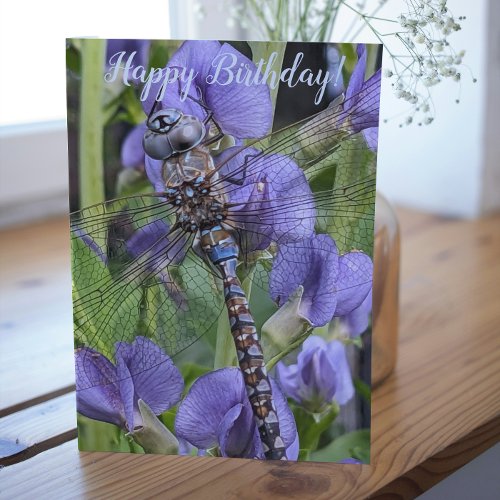 Colorful Dragonfly on Purple Flowers Birthday Card