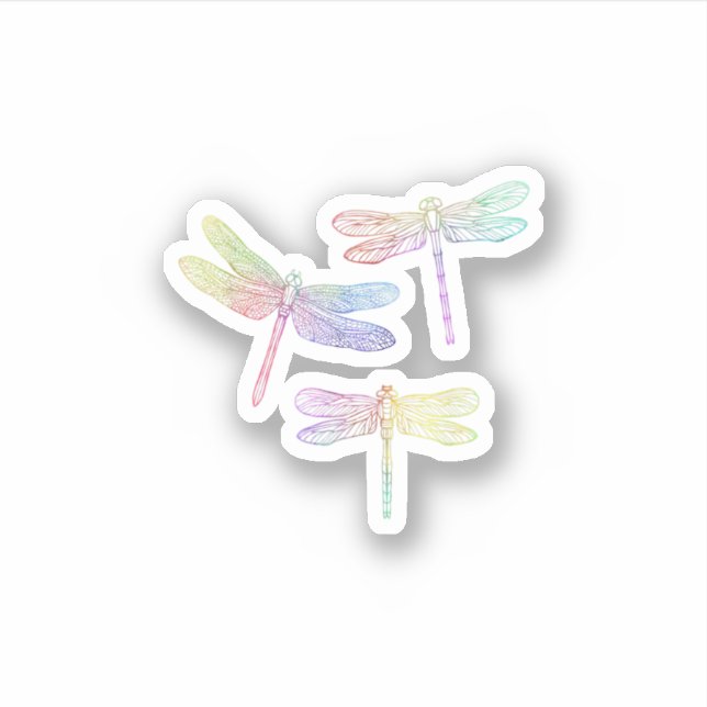 Colorful Dragonfly  Sticker (Front)