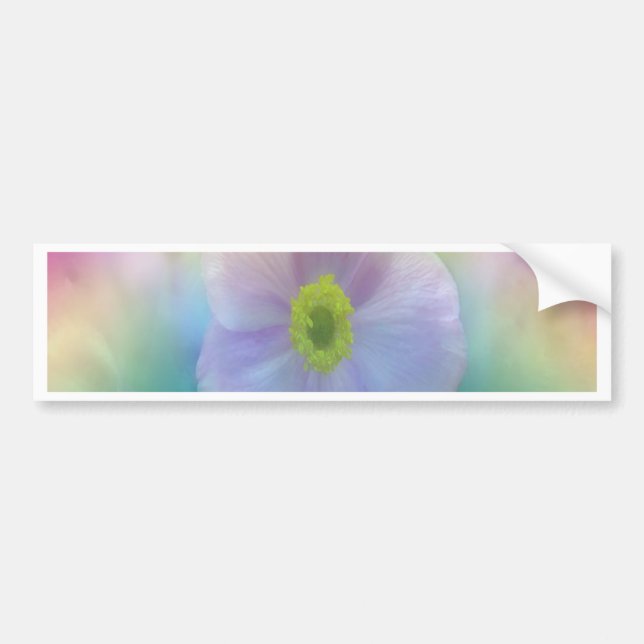 Colorful Dreams Bumper Sticker (Front)
