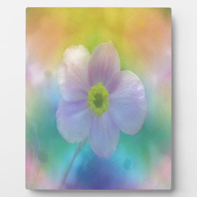 Colorful Dreams Plaque (Front)