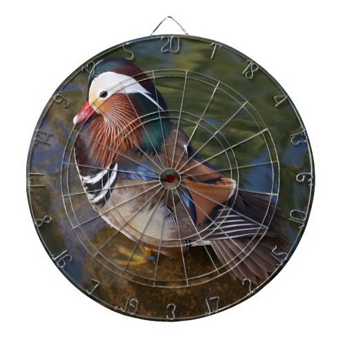 Colorful duck in the water dartboard