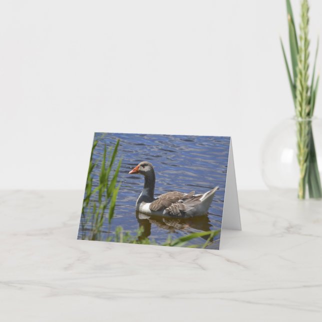 Colorful Duck Notecard (Front)