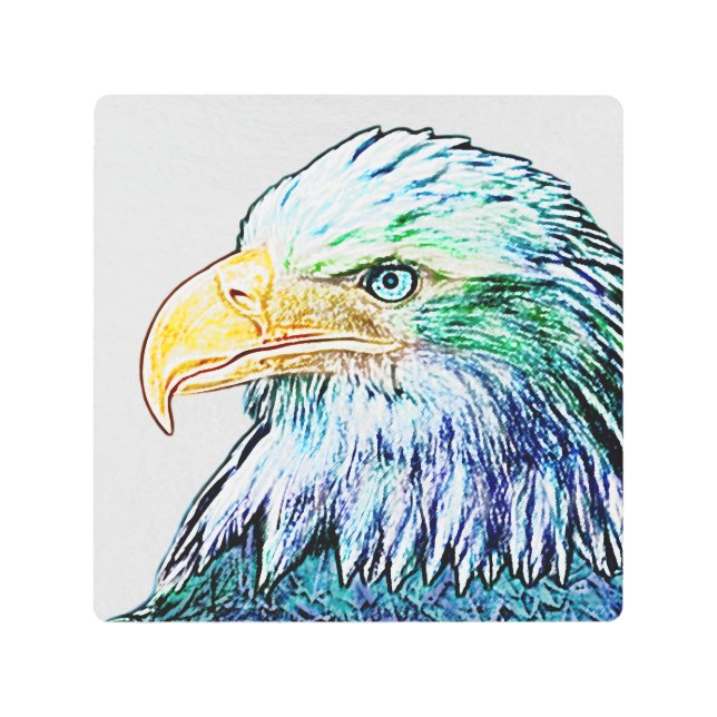 Colorful Eagle Sketch  Metal Print (Front)