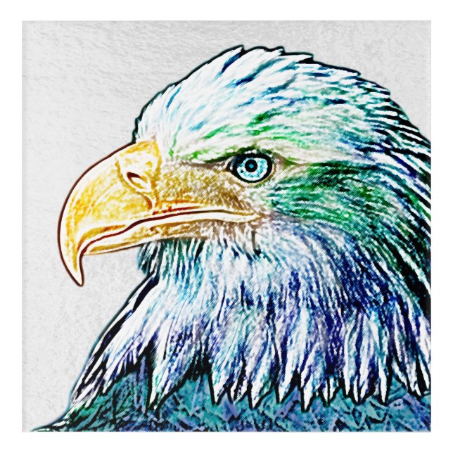 Colorful Eagle Sketch Poster Acrylic Print (Front)