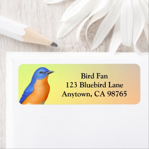 Colorful Eastern Bluebird Address Labels Zazzle