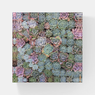 Colorful Echeveria Succulent Glass Paperweight