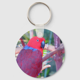 Colorful eclectus parrot keychain