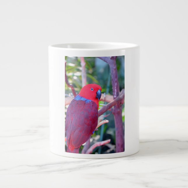 Colorful eclectus parrot mug (Front)