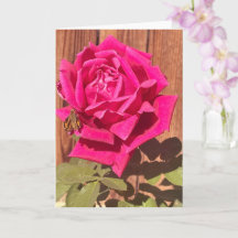 Colorful Elegant Pink Floral Pink Flower