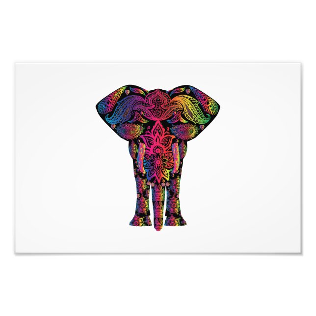 Colorful elephant cartoon photo print (Front)