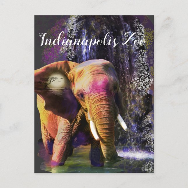Colorful Elephant Waterfall Postcard (Front)